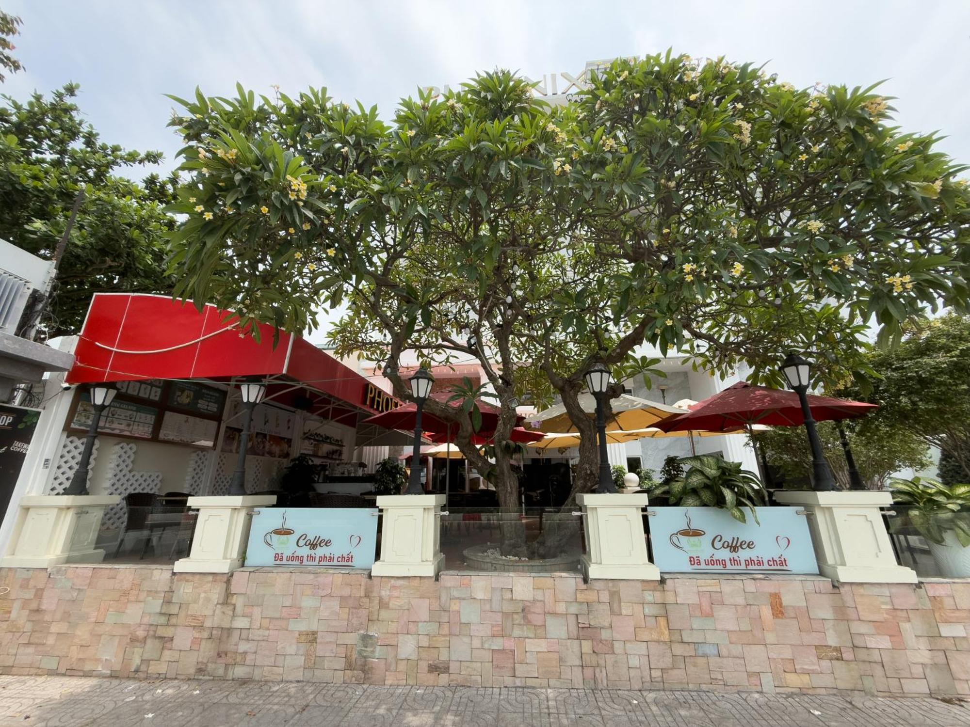 Phoenix Hotel Vung Tau Exteriör bild